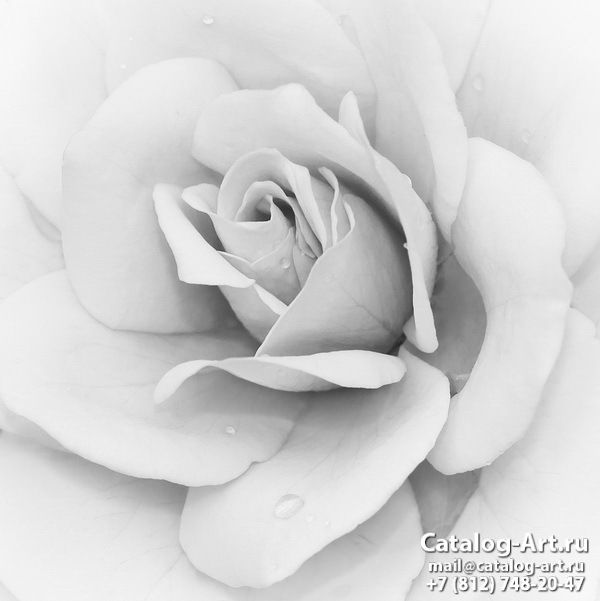 Натяжные потолки с фотопечатью - Белые розы 41